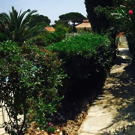 Au Reveil Des Cigales